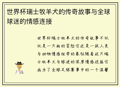 世界杯瑞士牧羊犬的传奇故事与全球球迷的情感连接